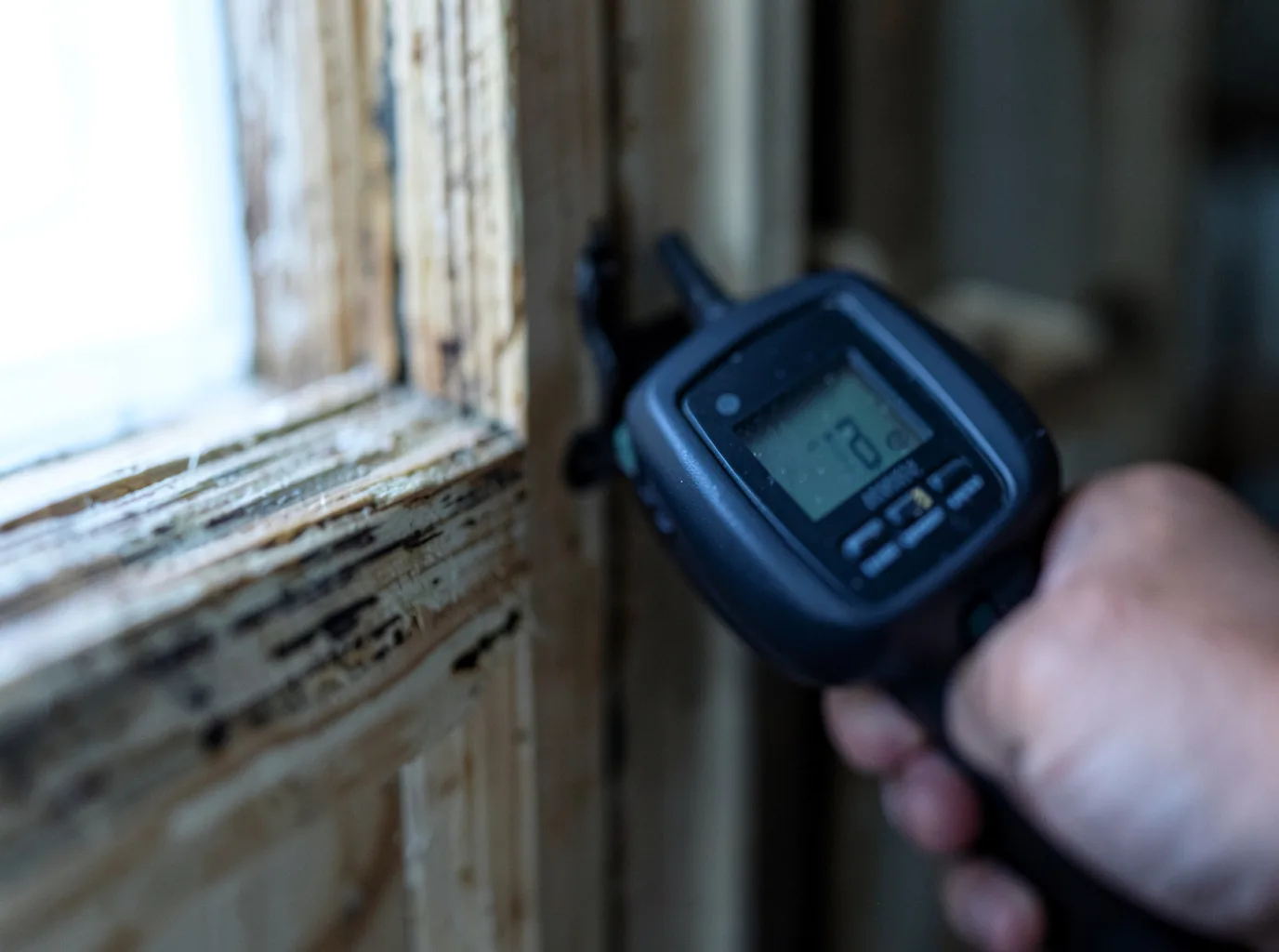 Commercial Water Damage Restoration in Neeses, SC